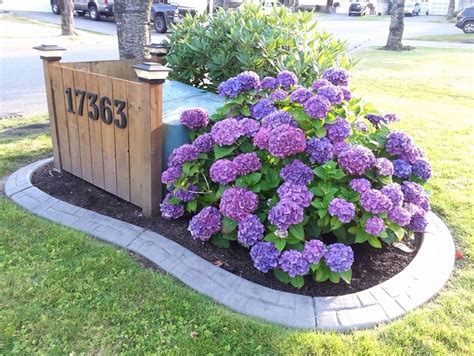 landscaping around electrical boxes|hide utility boxes without digging.